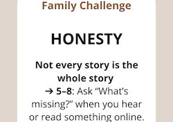 
              Family Challenges